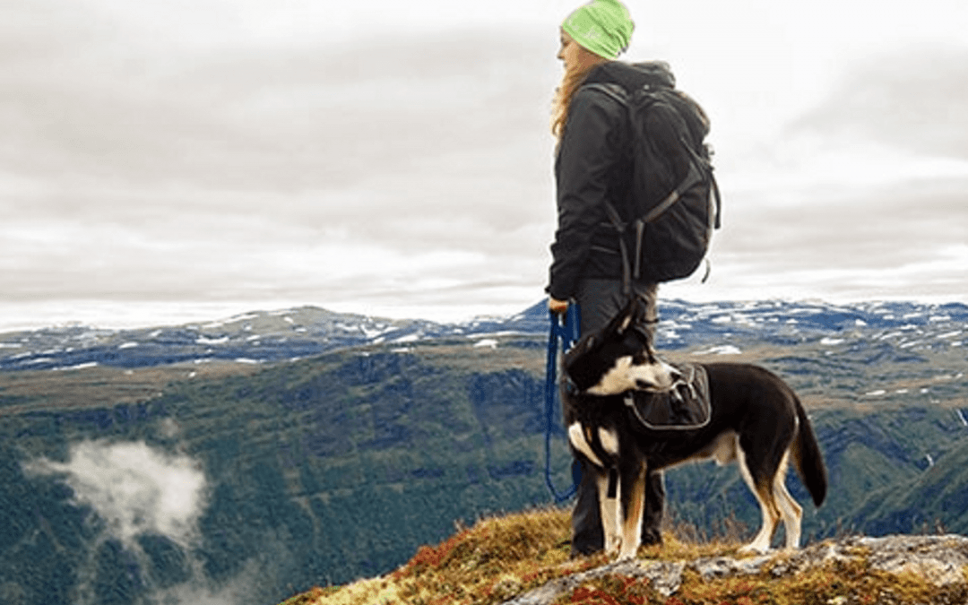 15 Best Dog Breeds for Hiking off Leash | Top Hiking