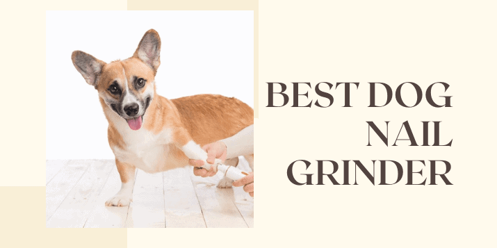 5 Best Dog Nail Grinder Reviews  And  Ultimate Guide