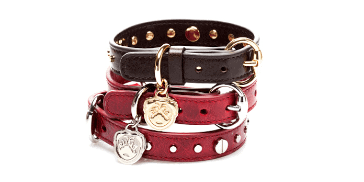 5 Best Leather Dog Collars Reviews in 2021