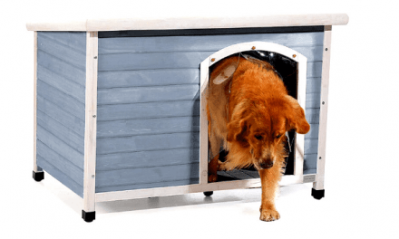 The Ultimate Guide to Top 7 Large Dog Houses For Outside