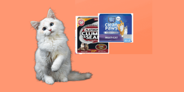 What is the best cat litter for allergies?- mrtoppet