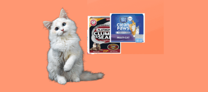 What is the best cat litter for allergies?- mrtoppet