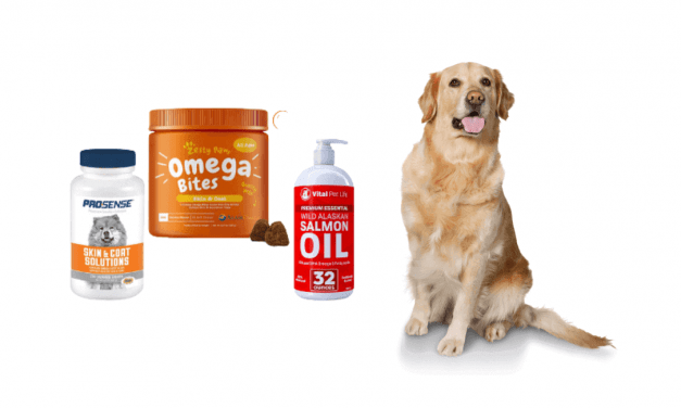5 Best dog shedding supplements | mrtoppet Tips