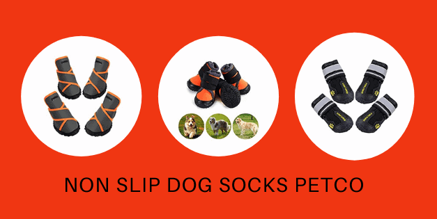 Take Advantage Of Non-Slip Dog Socks Petco On Budget